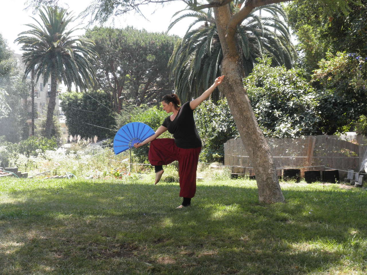 Learning Tai Chi Fan